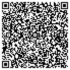 QR code with Bluopal Consulting LLC contacts