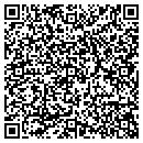 QR code with Chesapeake Consulting Inc contacts