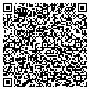 QR code with Curtin Consulting contacts
