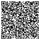 QR code with Ppauls Consulting LLC contacts