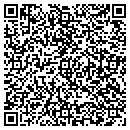QR code with Cdp Consulting Inc contacts