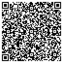 QR code with Proactive Resolutions contacts
