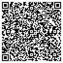 QR code with Dw It Consulting Inc contacts