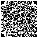 QR code with Cyan Associates Ltd contacts