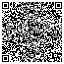 QR code with Primus Consulting contacts