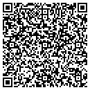 QR code with Punaro Group LLC contacts