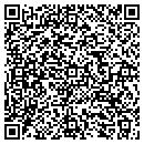 QR code with Purposeful Solutions contacts