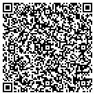 QR code with Blue Haystack Consulting contacts