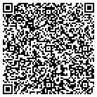 QR code with Cng Installation Consulti contacts