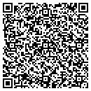 QR code with Cruz Consulting LLC contacts