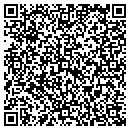 QR code with Cognasso Consulting contacts