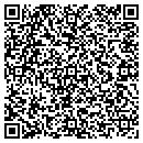 QR code with Chameleon Consulting contacts