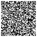 QR code with Dream World Consulting contacts