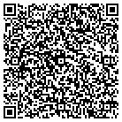 QR code with Blue Stream Consulting contacts