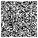 QR code with Cudzinovic Consulting contacts