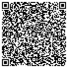 QR code with Psidn Nanomaterials Inc contacts