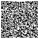 QR code with Pyramid Design Group contacts
