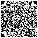 QR code with Briatech Inc contacts