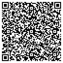 QR code with Blue Planet Solutions contacts