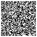 QR code with Pulse Engineering contacts