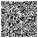 QR code with Borrison & Borrison Inc contacts