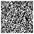 QR code with Proto Connect contacts