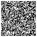 QR code with Problem Solvers contacts