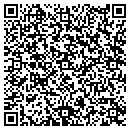 QR code with Process Engineer contacts