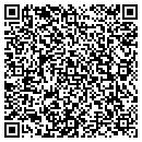 QR code with Pyramid Systems Inc contacts