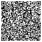 QR code with Pursuit Of Insight LLC contacts