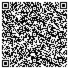 QR code with Plein Aire Strategies LLC contacts