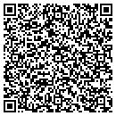 QR code with Ptasnik John contacts