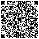 QR code with Public Consulting Group contacts