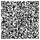 QR code with Critical Realm Corp contacts
