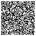 QR code with Light Brigade contacts