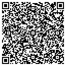 QR code with Pyramid Peak Corp contacts