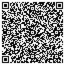 QR code with Barnes Ml Consultant contacts