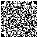 QR code with Pyxystyx Inc contacts