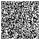 QR code with Psytech Analytics Inc contacts