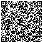 QR code with Bridge Strategy Group LLC contacts