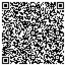QR code with Prytz Sverre contacts
