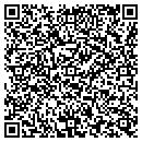 QR code with Project Redirect contacts