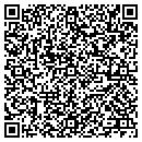 QR code with Program Insite contacts