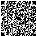 QR code with Cerulli Associates contacts