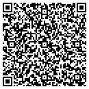 QR code with Cronin & Associate contacts