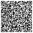 QR code with Pva Consulting Group contacts