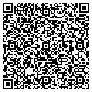 QR code with Problematics contacts