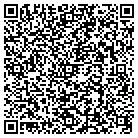 QR code with Public Consulting Group contacts