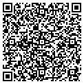 QR code with Tcg Consulting contacts