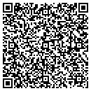 QR code with Cp Analysis Group Inc contacts